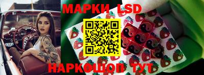 стафф Бугуруслан
