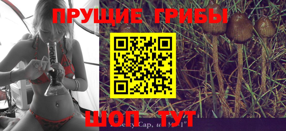 Галлюциногенные грибы ЛСД Отрадный